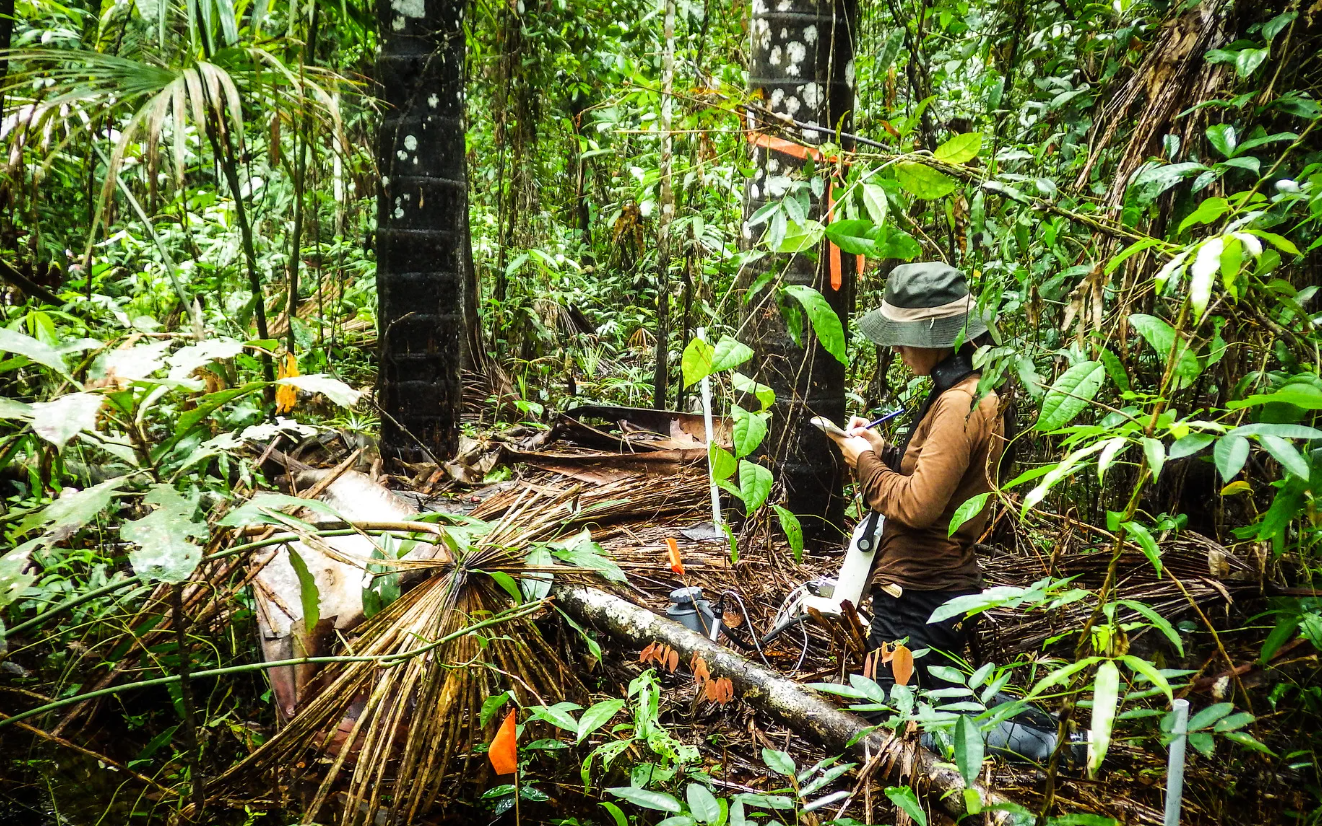Lindungi Hutan di Widyantara: Menjaga Keanekaragaman Hayati dan Kelestarian Lingkungan