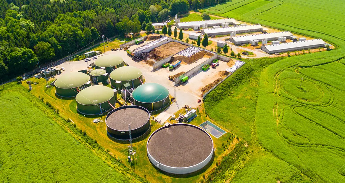 Mengenal Bioenergi: Transisi Hijau Berkelanjutan untuk Industri Padat Energi