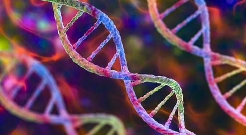 Pemahaman Mendalam tentang DNA dan RNA: Pengertian, Perbedaan, dan Peran Pentingnya dalam Biologi