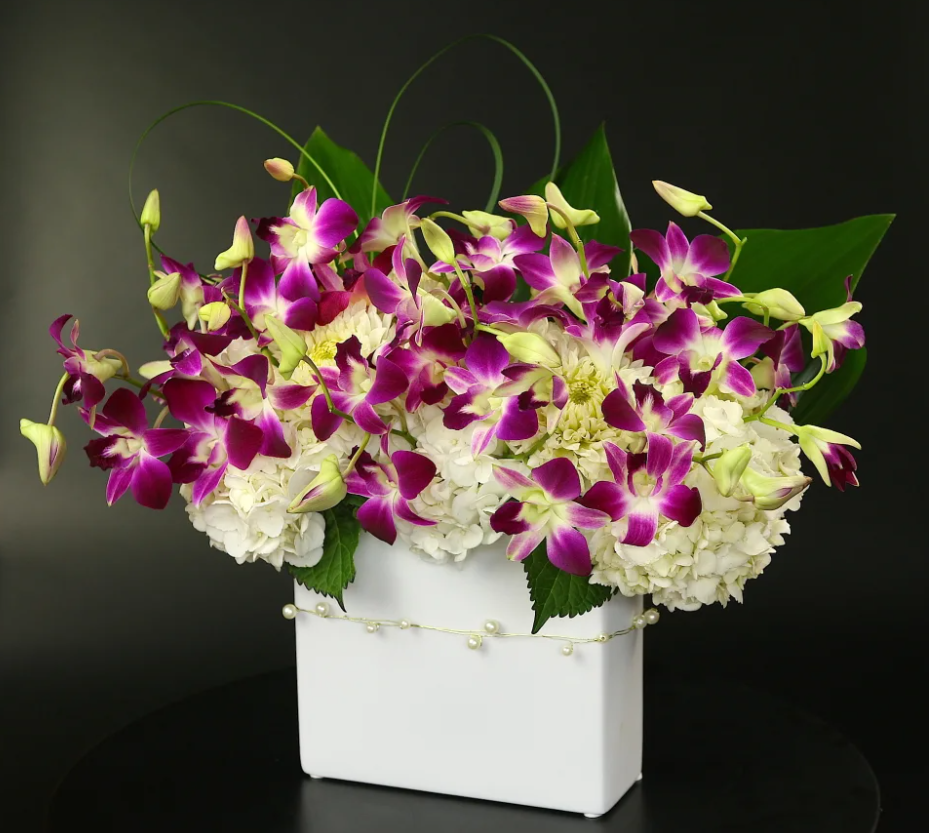 Orchid Obsession: Pesona Eksotis dari Bunga Anggrek