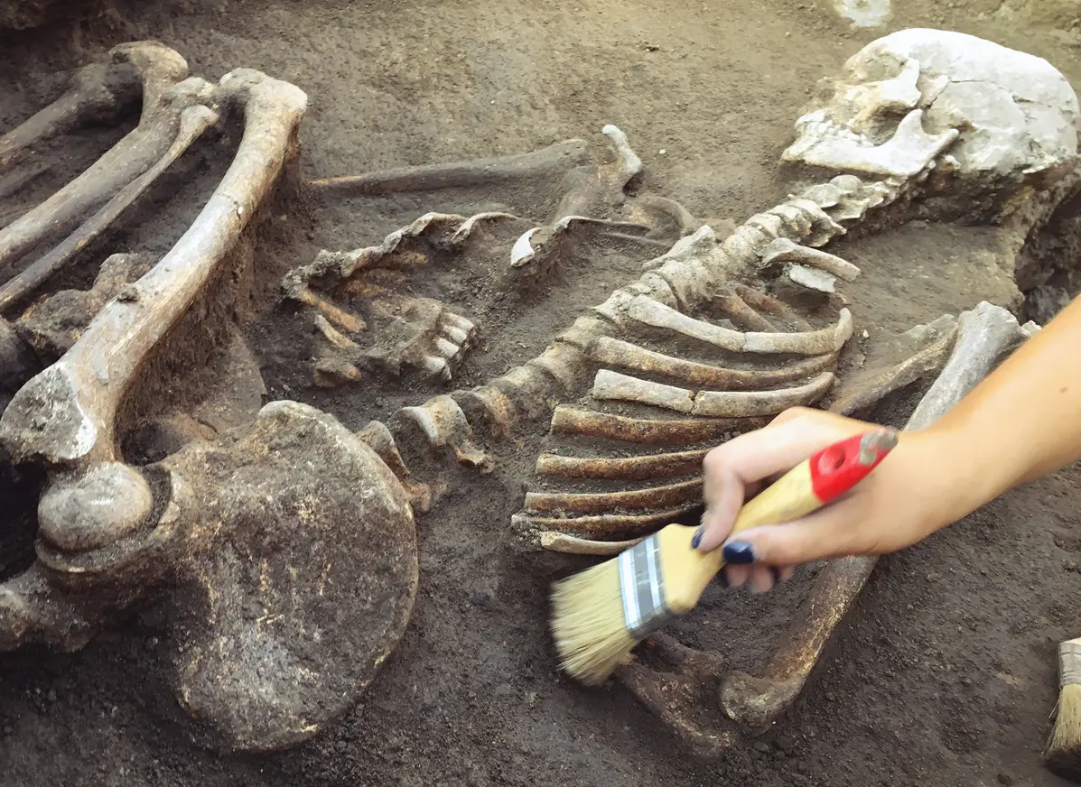 Penemuan Makhluk Purba: Eksplorasi Kehidupan Prasejarah di Seluruh Dunia